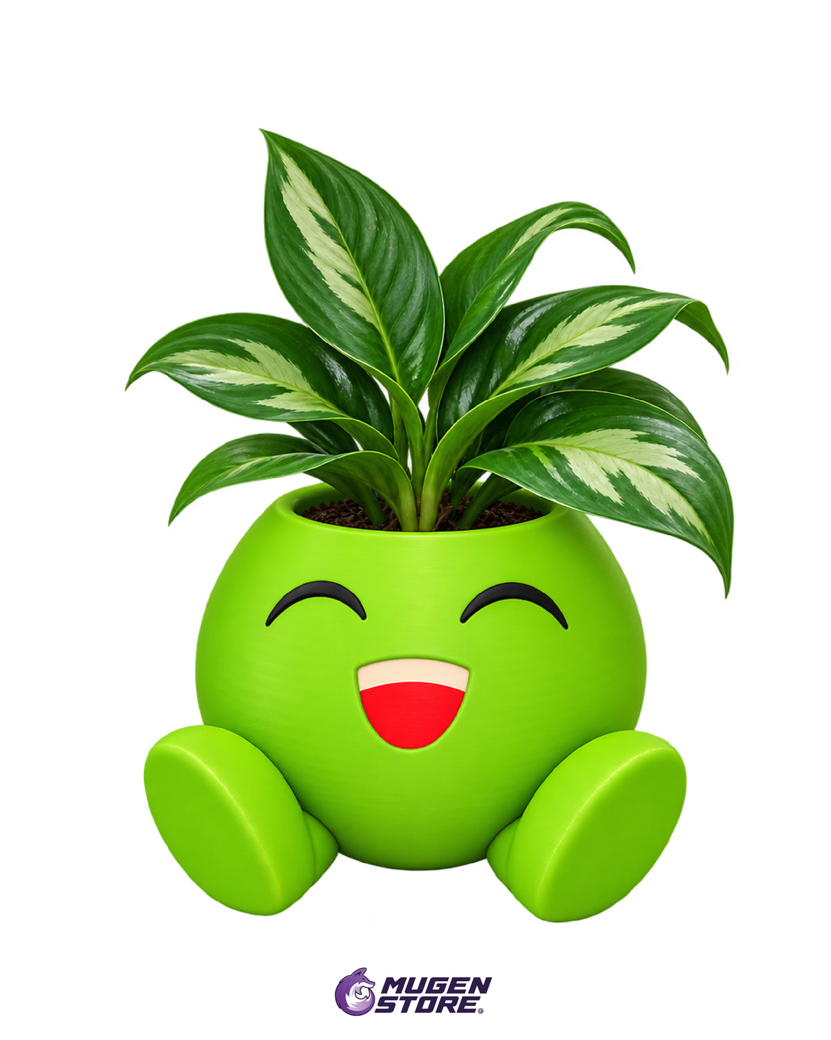 🌿 MACETA ODDISH